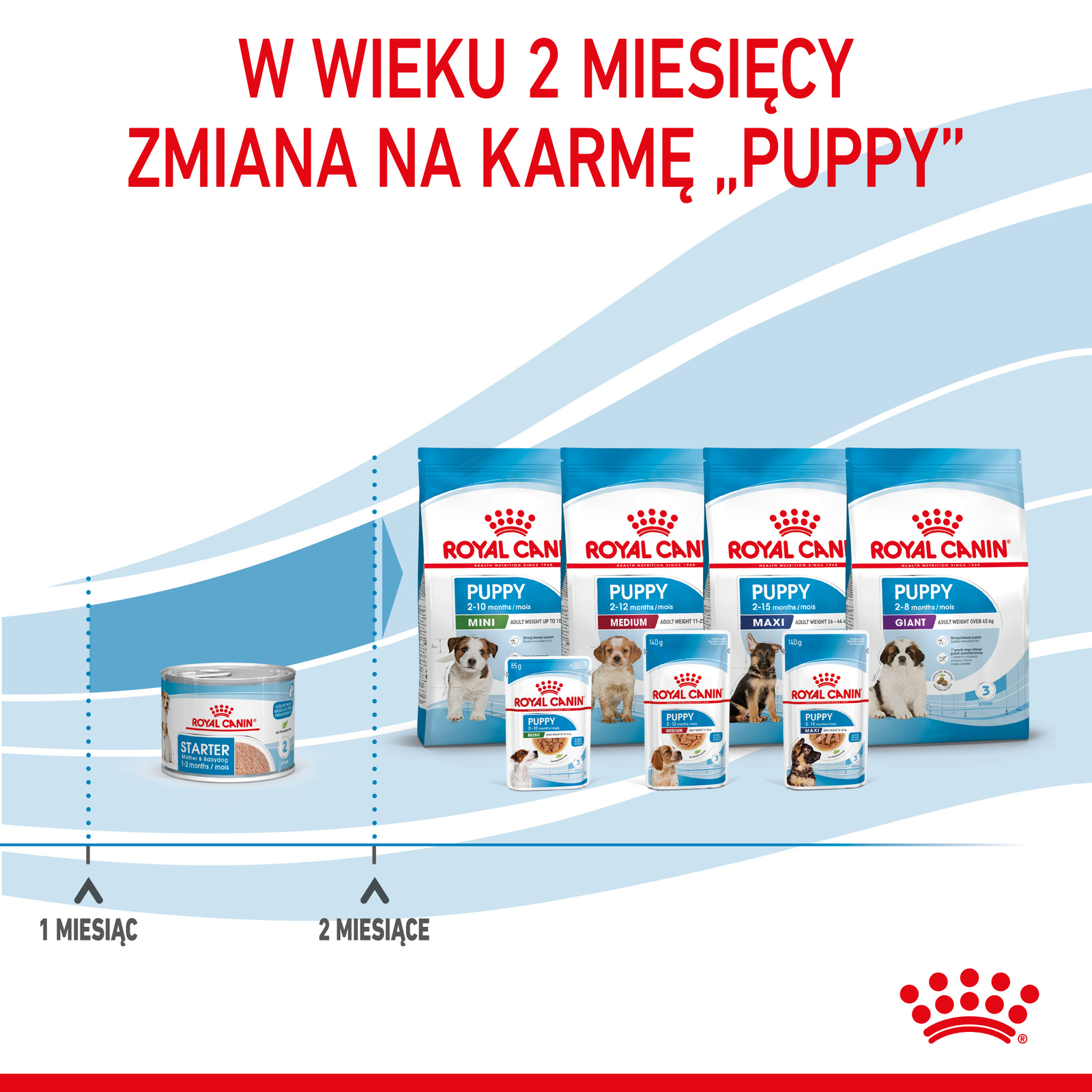 ROYAL CANIN Starter Mousse Mother & Babydog 195g - zdjęcie 10