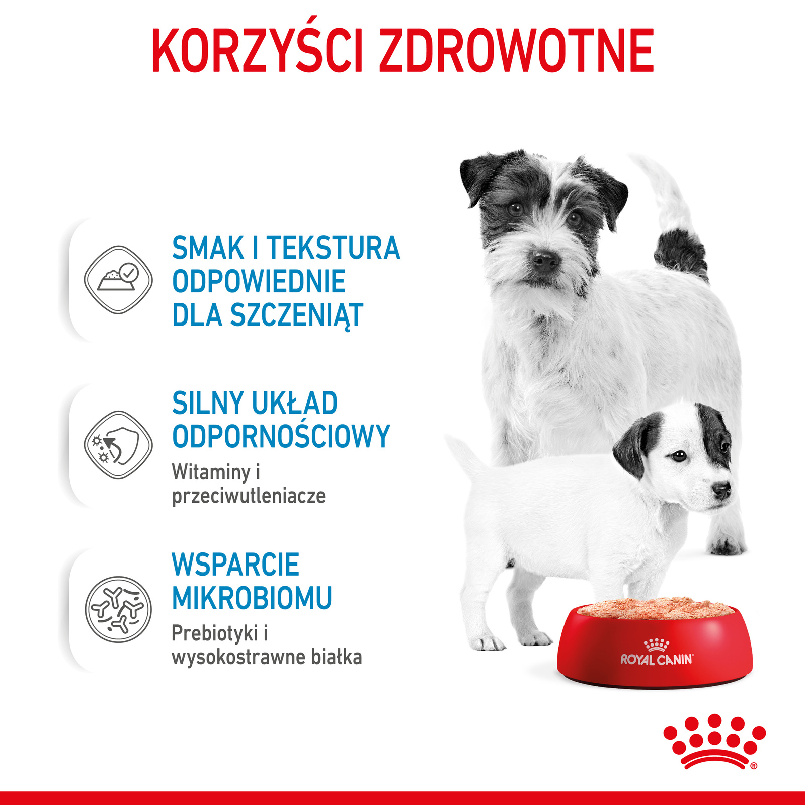 ROYAL CANIN Starter Mousse Mother & Babydog 195g - zdjęcie 6