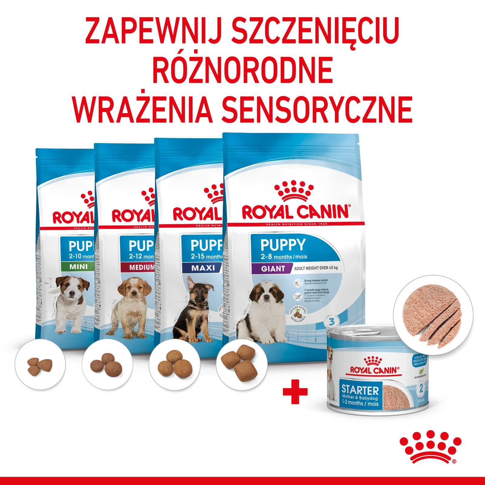 ROYAL CANIN Starter Mousse Mother & Babydog 195g - zdjęcie 7