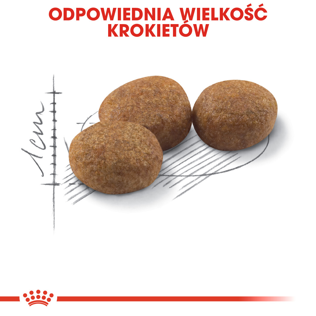 ROYAL CANIN Sterilised 37 10kg - zdjęcie 6