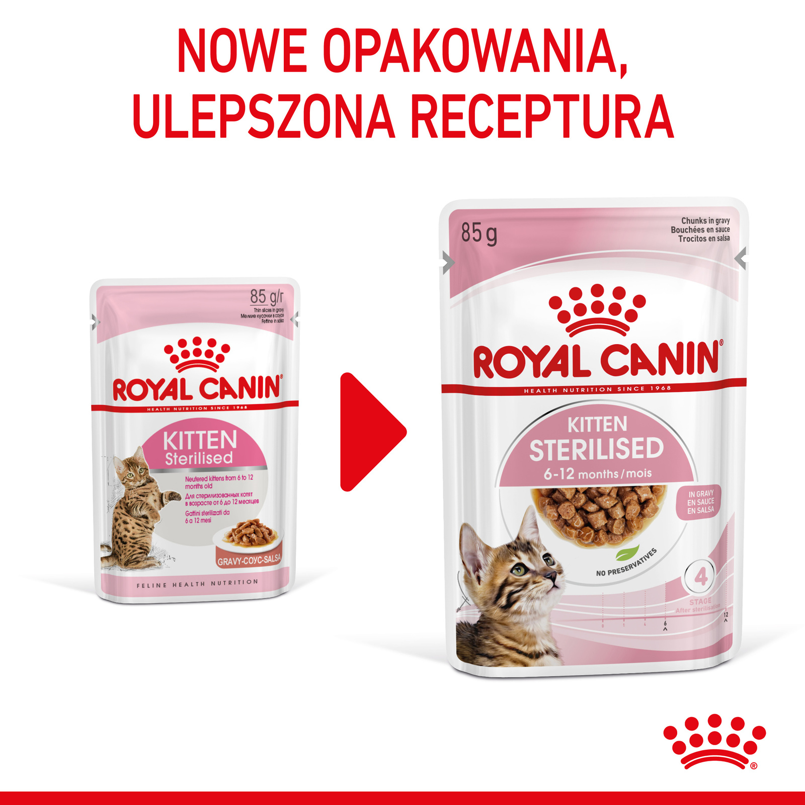 ROYAL CANIN Kitten Sterilised Sauce 12x85g - zdjęcie 5