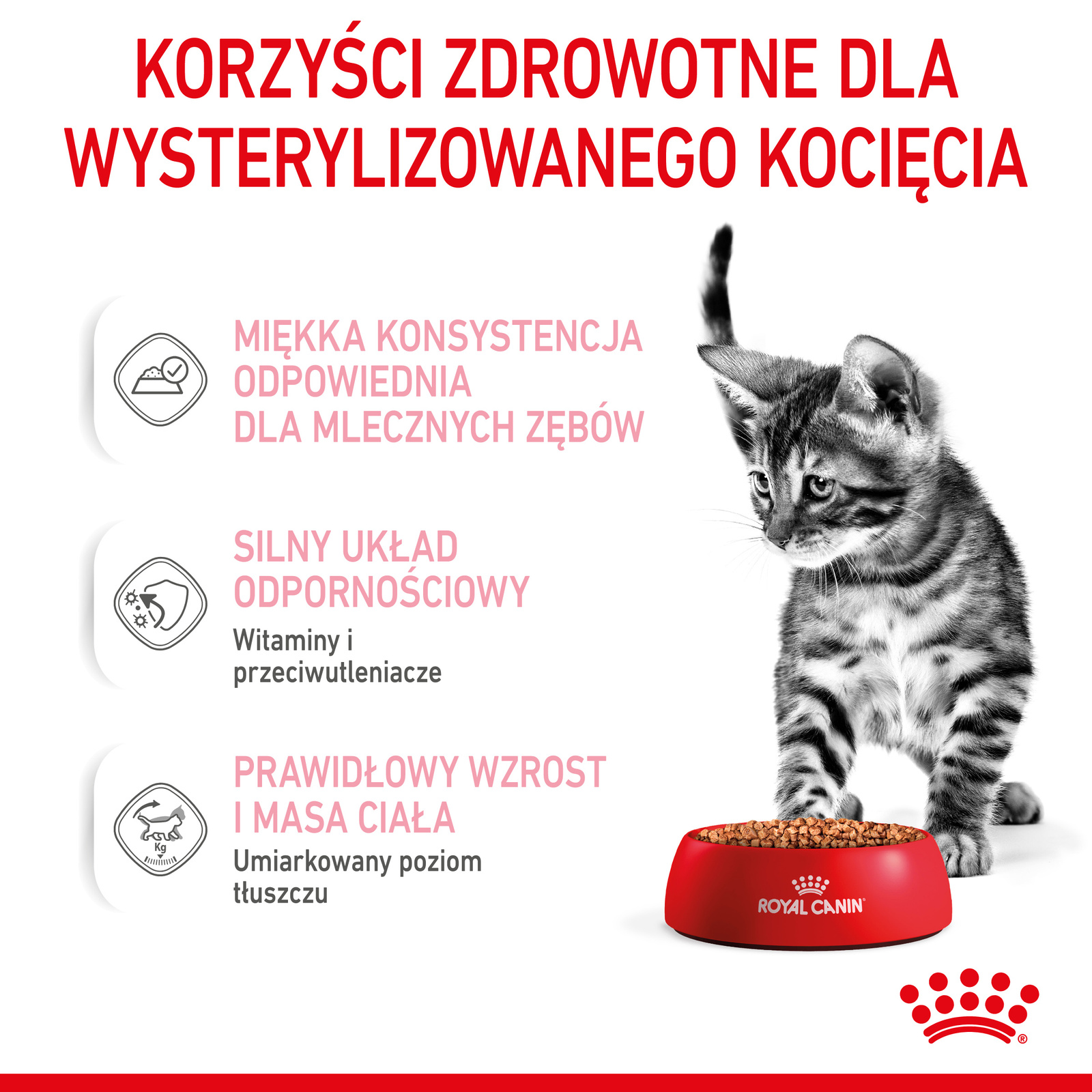 ROYAL CANIN Kitten Sterilised Sauce 12x85g - zdjęcie 7