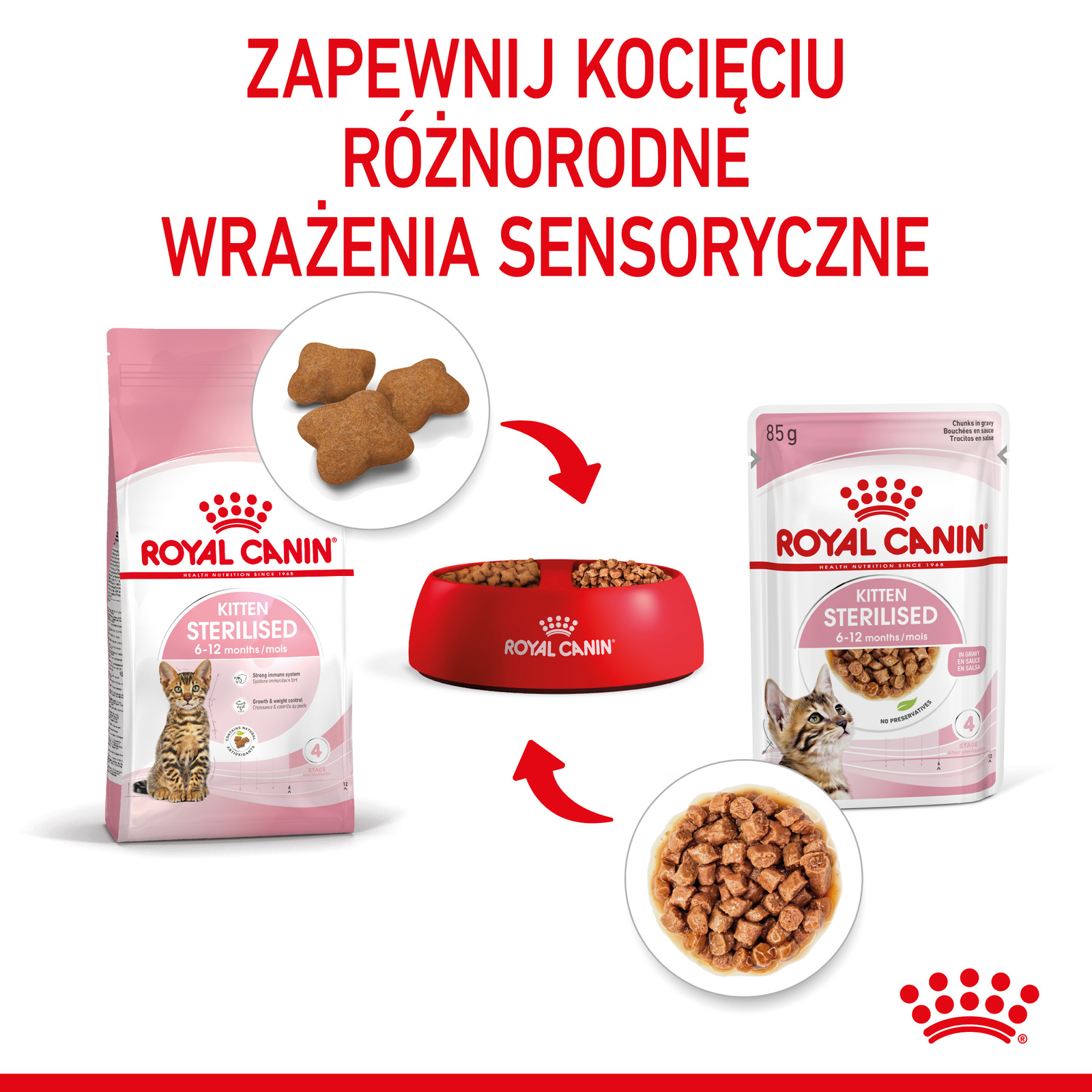 ROYAL CANIN Kitten Sterilised Sauce 12x85g - zdjęcie 8