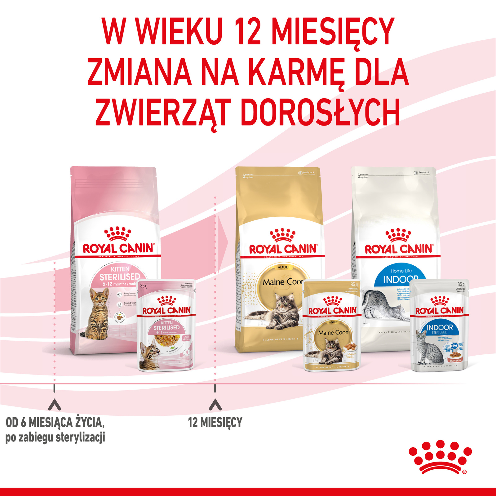 ROYAL CANIN Kitten Sterilised Gelee 12x85g - zdjęcie 10