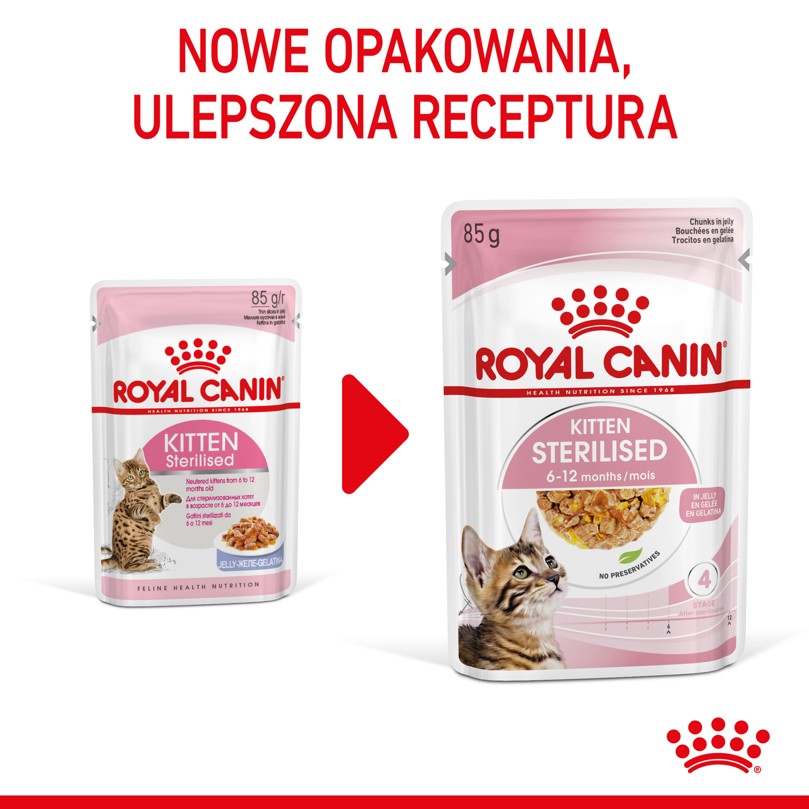 ROYAL CANIN Kitten Sterilised Gelee 12x85g - zdjęcie 4