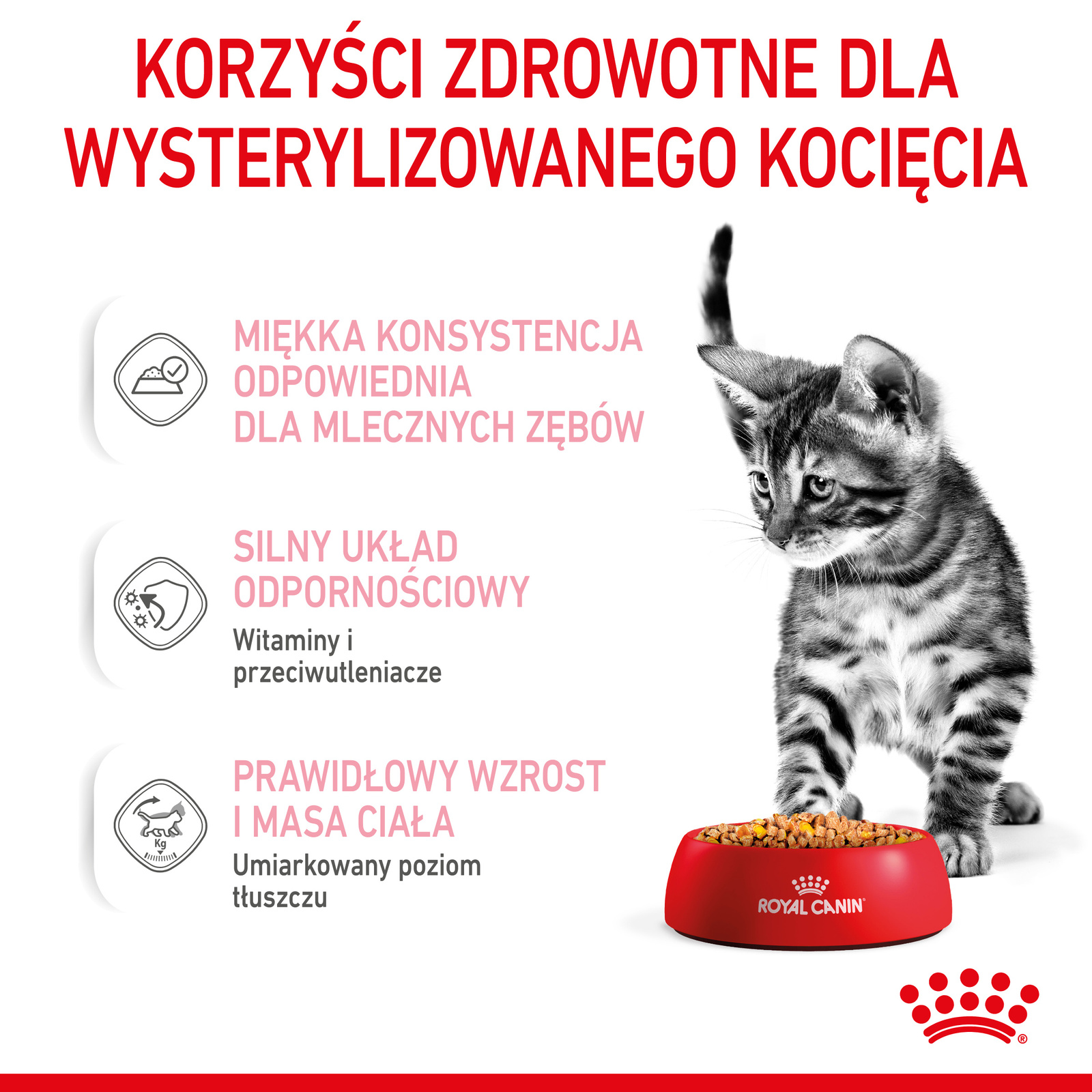 ROYAL CANIN Kitten Sterilised Gelee 12x85g - zdjęcie 6