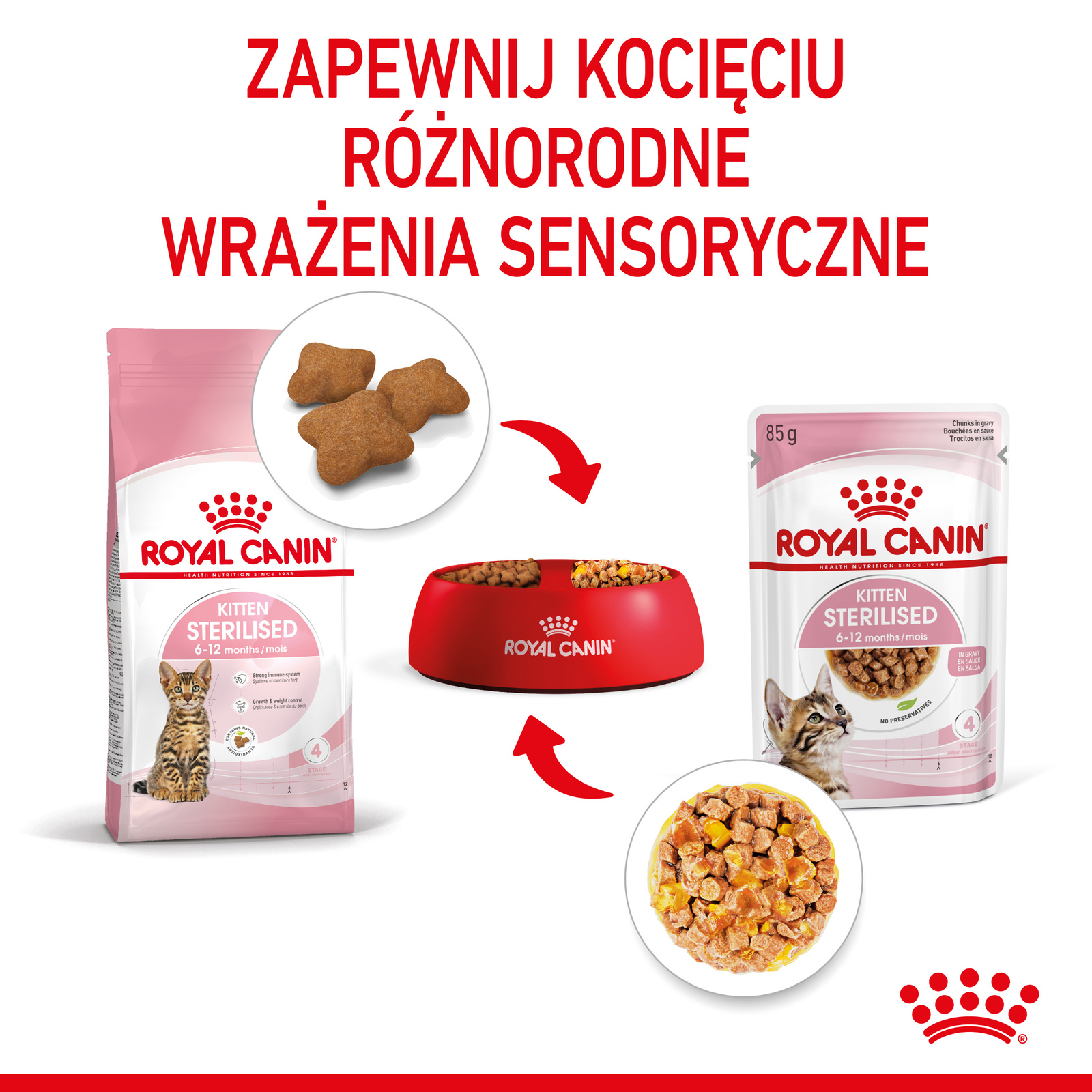 ROYAL CANIN Kitten Sterilised Gelee 12x85g - zdjęcie 7