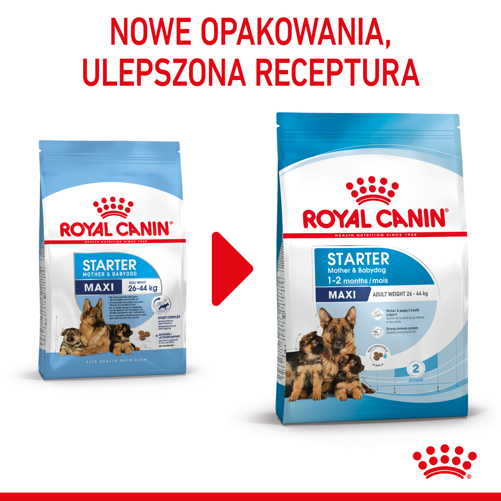 ROYAL CANIN Maxi Starter Mother & Babydog 15kg - zdjęcie 3