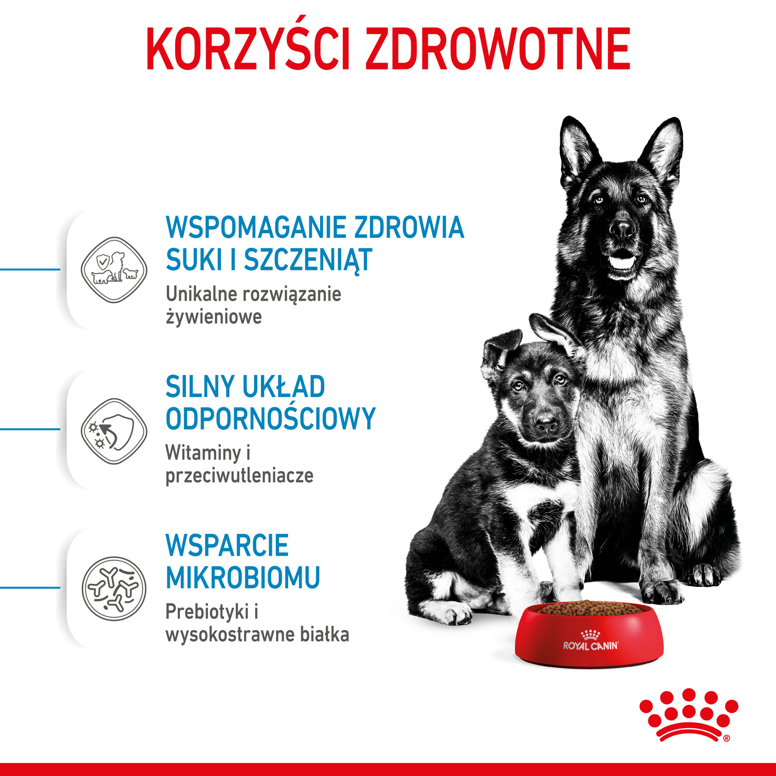 ROYAL CANIN Maxi Starter Mother & Babydog 15kg - zdjęcie 5