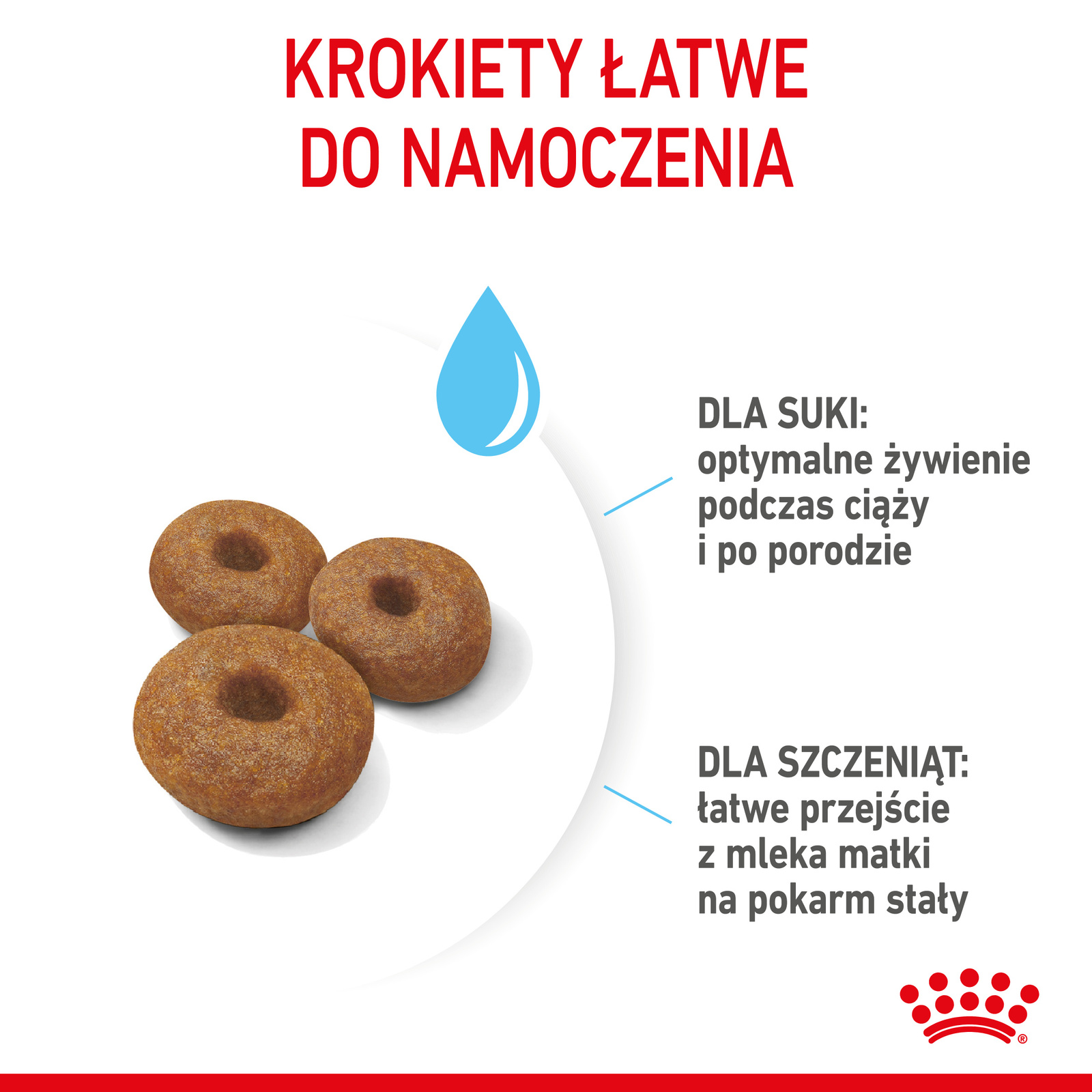 ROYAL CANIN Maxi Starter Mother & Babydog 15kg - zdjęcie 6