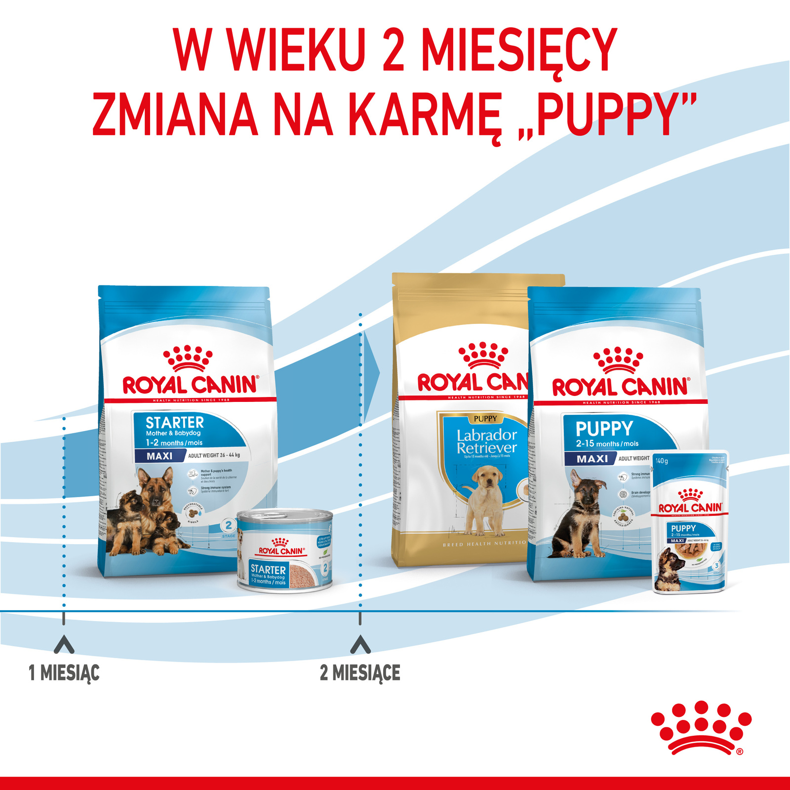 ROYAL CANIN Maxi Starter Mother & Babydog 15kg - zdjęcie 7