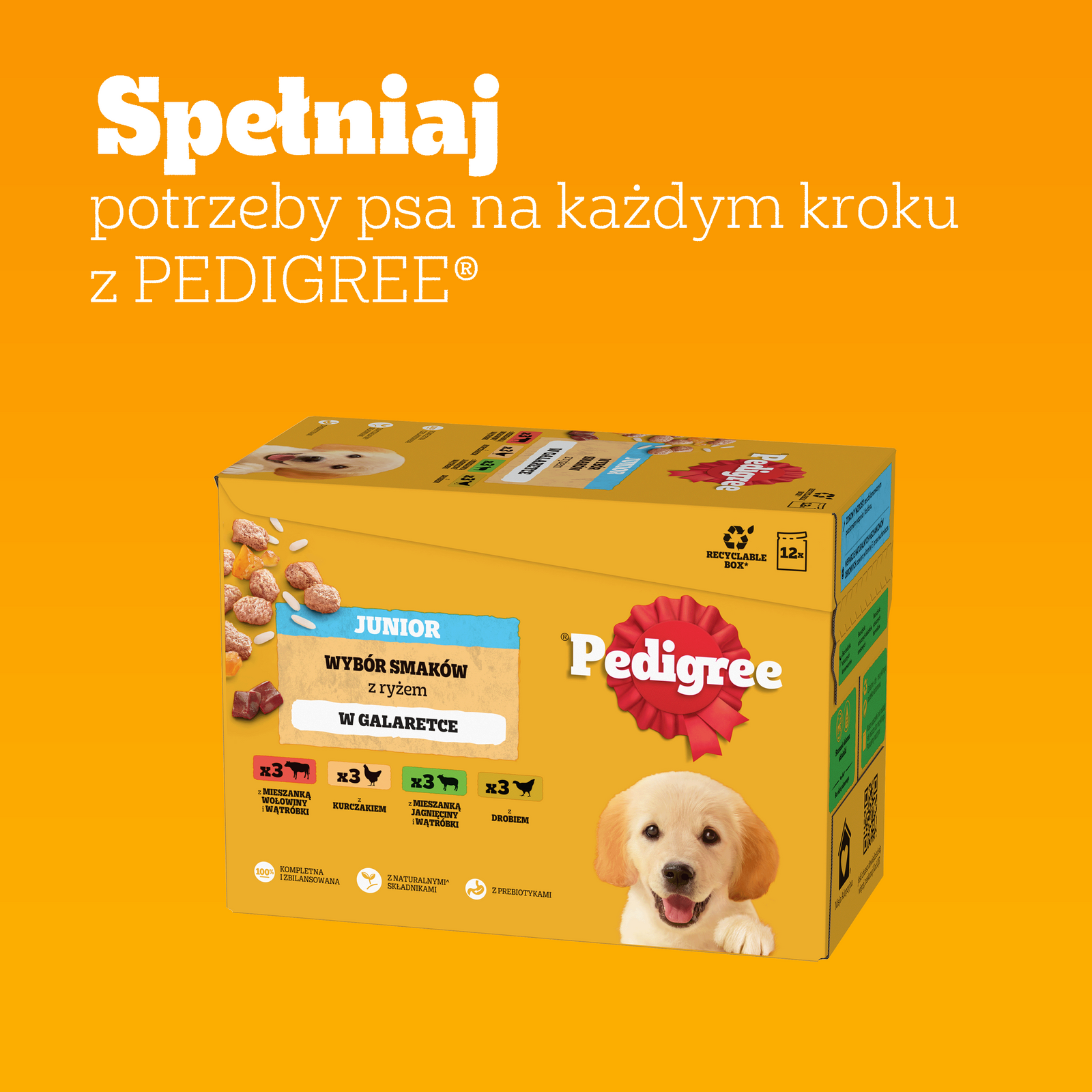 Pedigree Mokra Karma Dla Szczeniąt Mix Smaków Kurczak Z Ryżem, Jagnięcina Z Ryżem, Drób Z Ryżem I Wołowina Z Ryżem W Galaretce 12x100g - zdjęcie 10