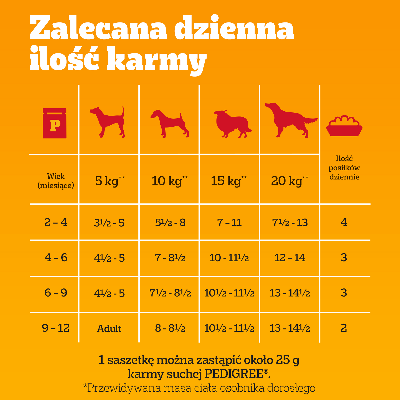 Pedigree Mokra Karma Dla Szczeniąt Mix Smaków Kurczak Z Ryżem, Jagnięcina Z Ryżem, Drób Z Ryżem I Wołowina Z Ryżem W Galaretce 12x100g - zdjęcie 4