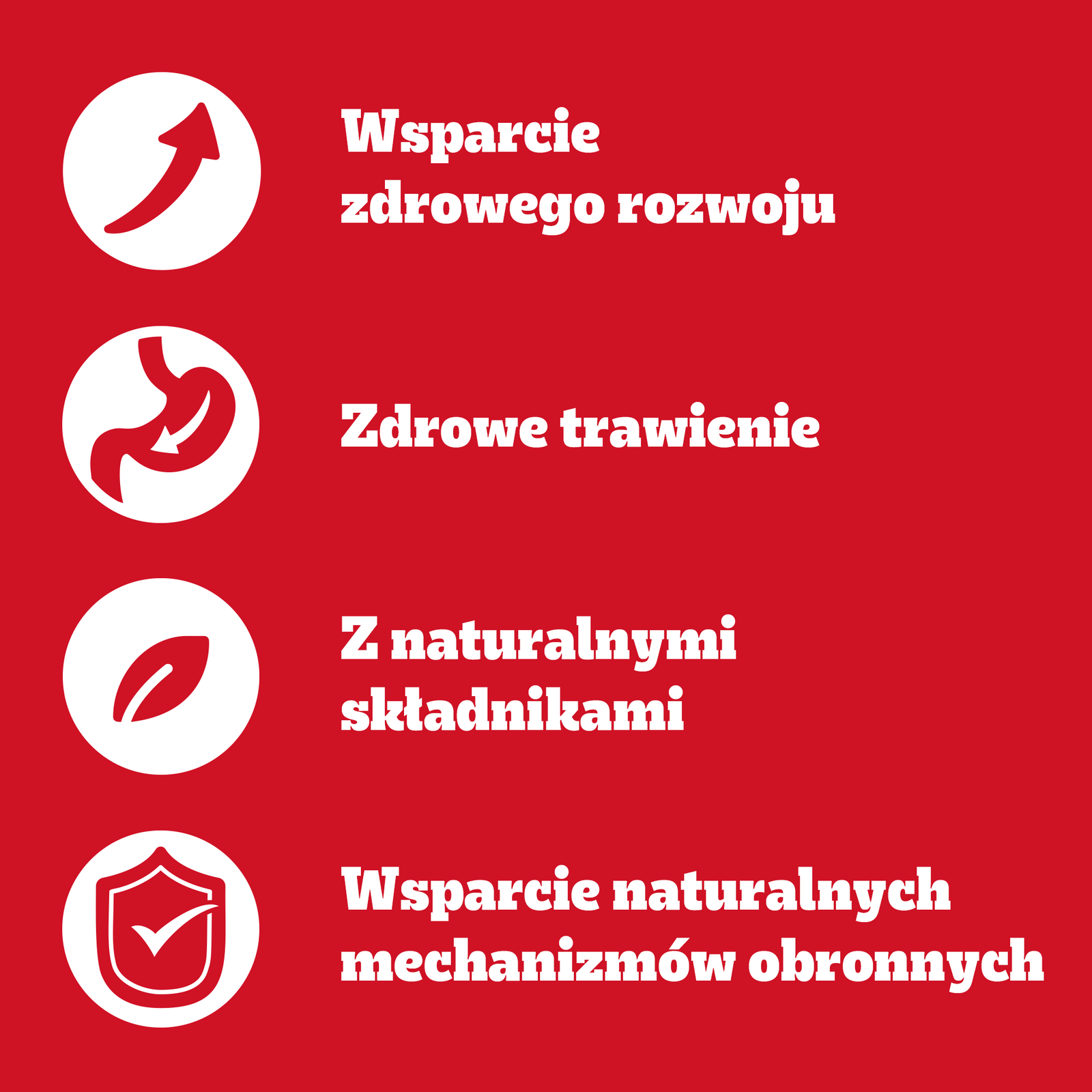 Pedigree Mokra Karma Dla Szczeniąt Mix Smaków Kurczak Z Ryżem, Jagnięcina Z Ryżem, Drób Z Ryżem I Wołowina Z Ryżem W Galaretce 12x100g - zdjęcie 7