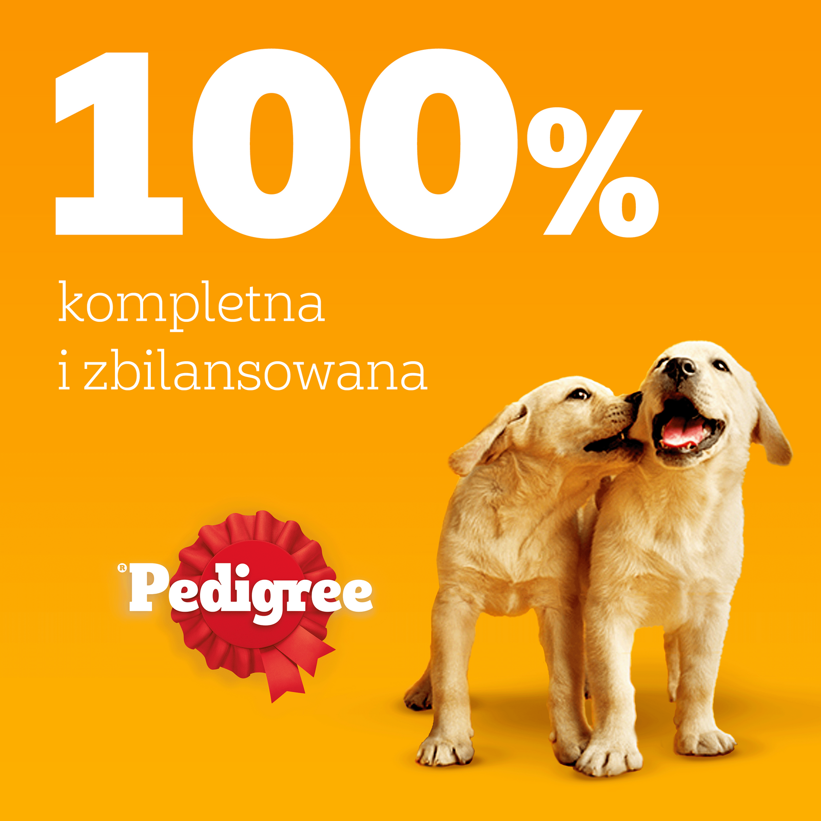 Pedigree Mokra Karma Dla Szczeniąt Mix Smaków Kurczak Z Ryżem, Jagnięcina Z Ryżem, Drób Z Ryżem I Wołowina Z Ryżem W Galaretce 12x100g - zdjęcie 8
