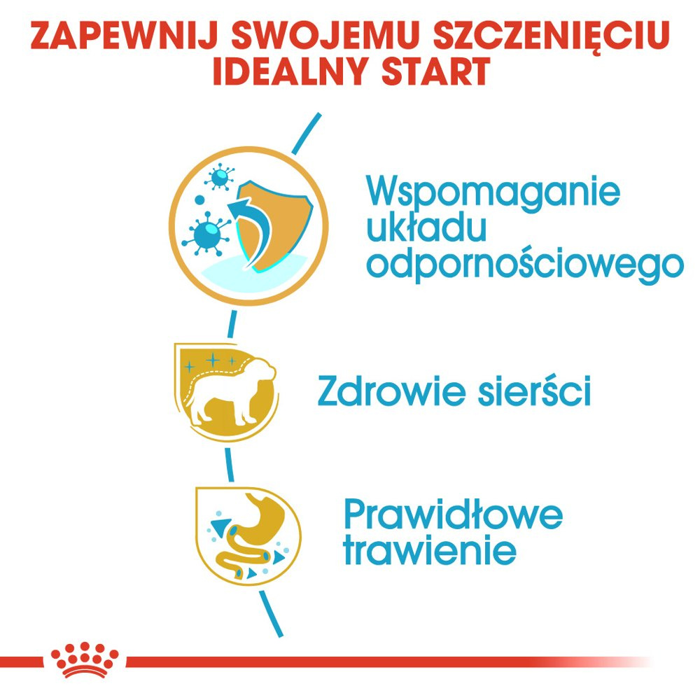 ROYAL CANIN Yorkshire Terrier Puppy 500g - zdjęcie 10
