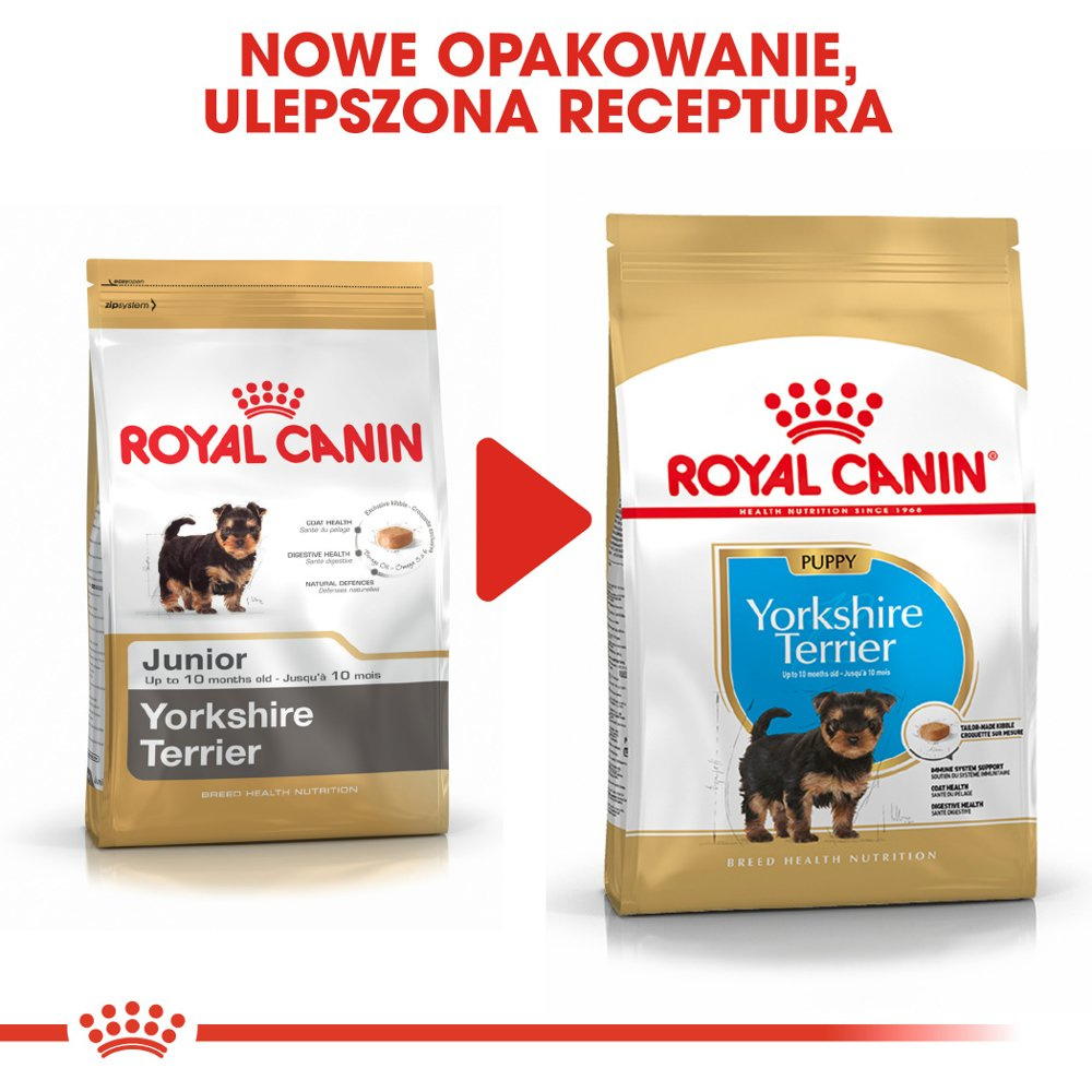 ROYAL CANIN Yorkshire Terrier Puppy 500g - zdjęcie 3