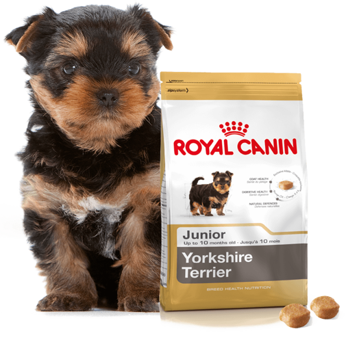 ROYAL CANIN Yorkshire Terrier Puppy 500g - zdjęcie 5