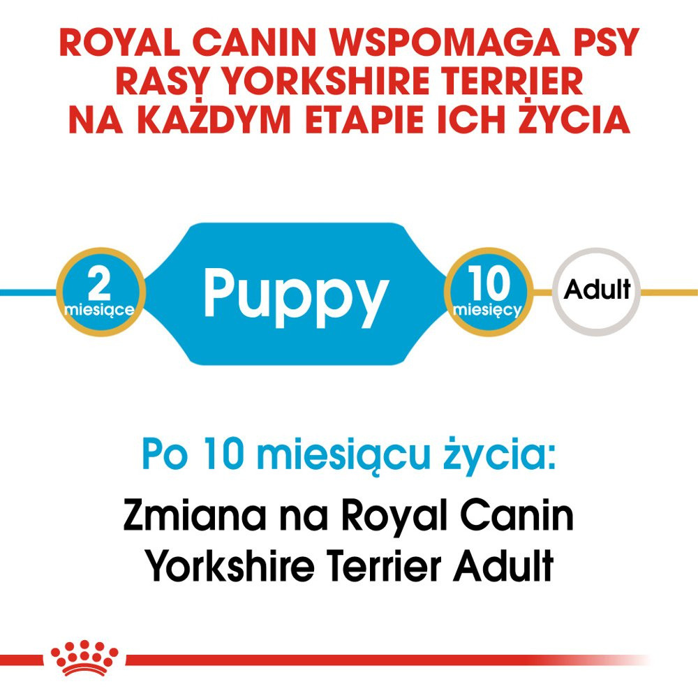 ROYAL CANIN Yorkshire Terrier Puppy 1,5kg - zdjęcie 7