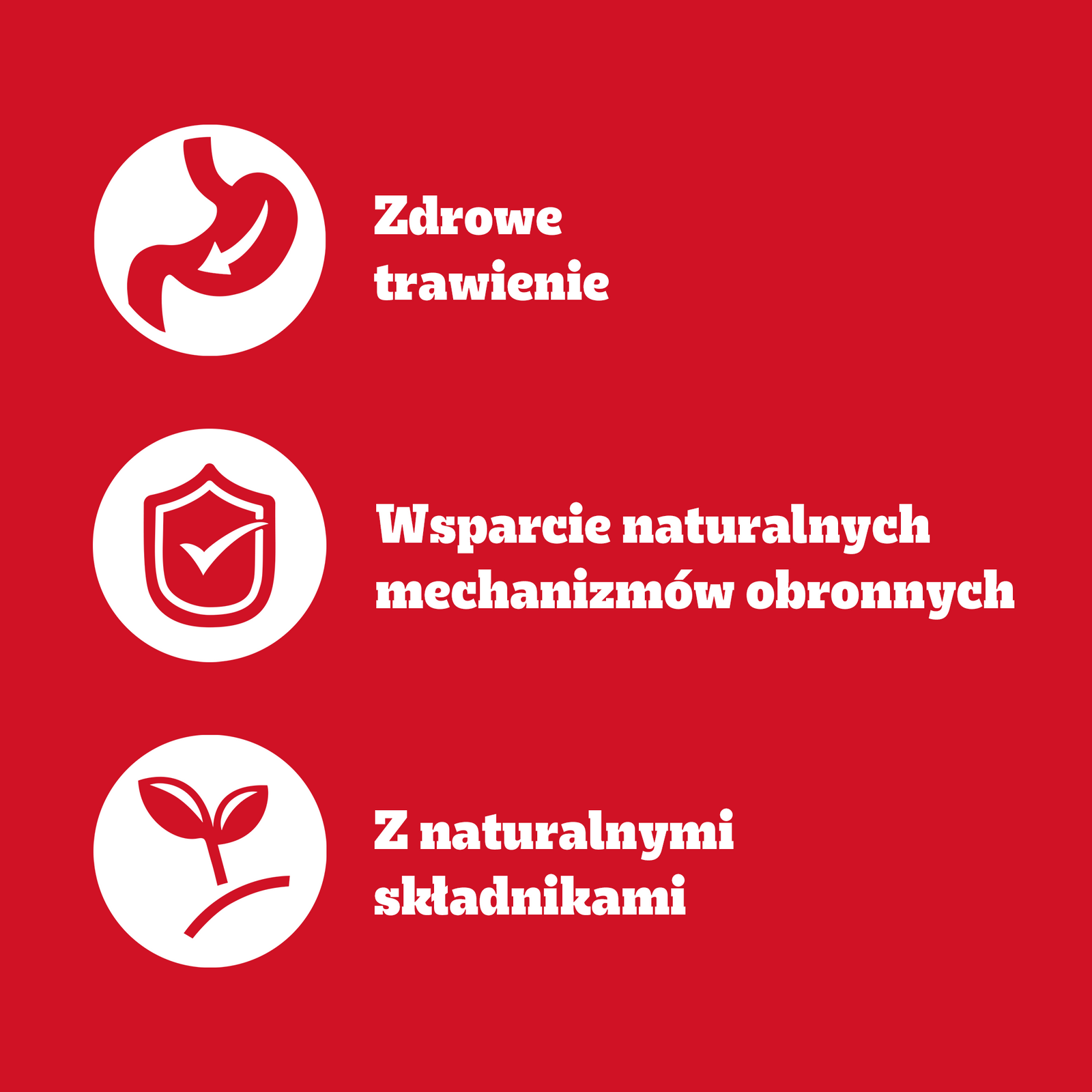Pedigree Mokra Karma Dla Dorosłych Psów Z Kurczakiem I Warzywami W Galaretce 400g - zdjęcie 7