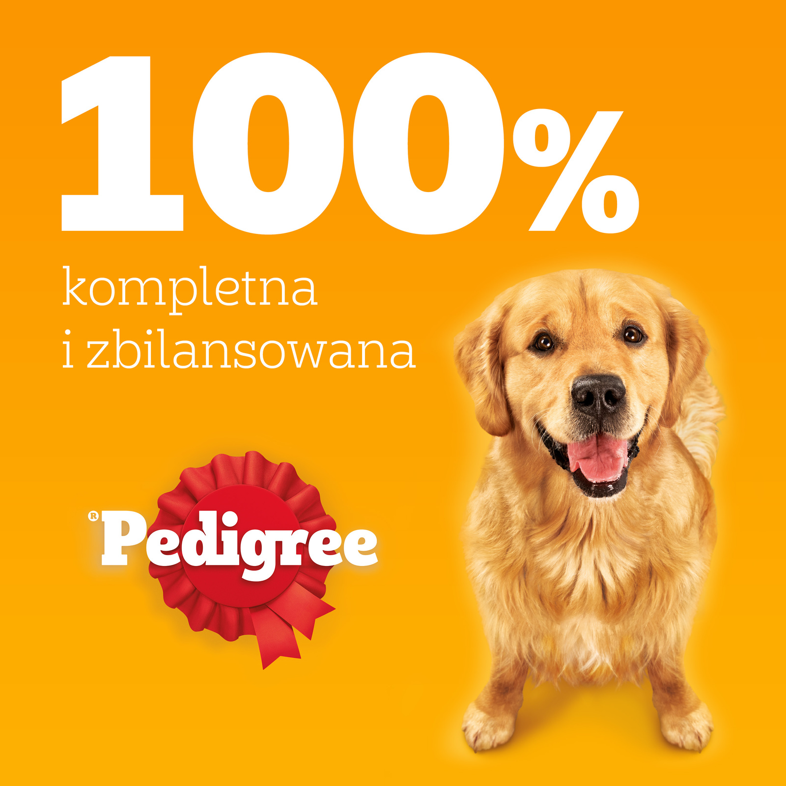 Pedigree Mokra Karma Dla Dorosłych Psów Z Kurczakiem I Warzywami W Galaretce 400g - zdjęcie 8