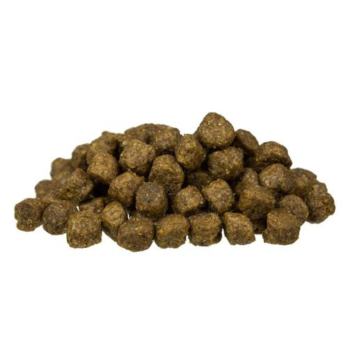 BOSCH Mini Senior 1kg - zdjęcie 2