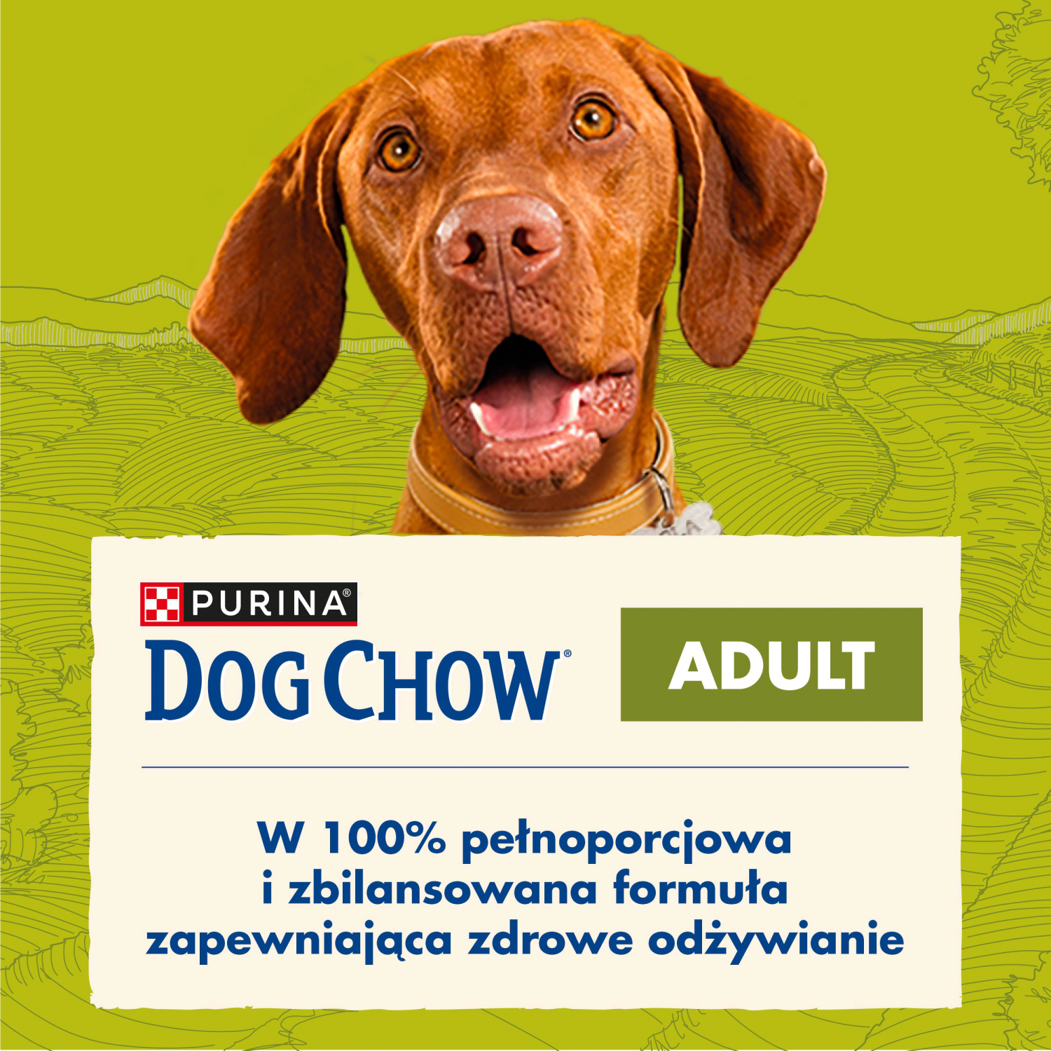Purina Dog Chow Adult Z Jagnięciną 2,5kg - zdjęcie 2