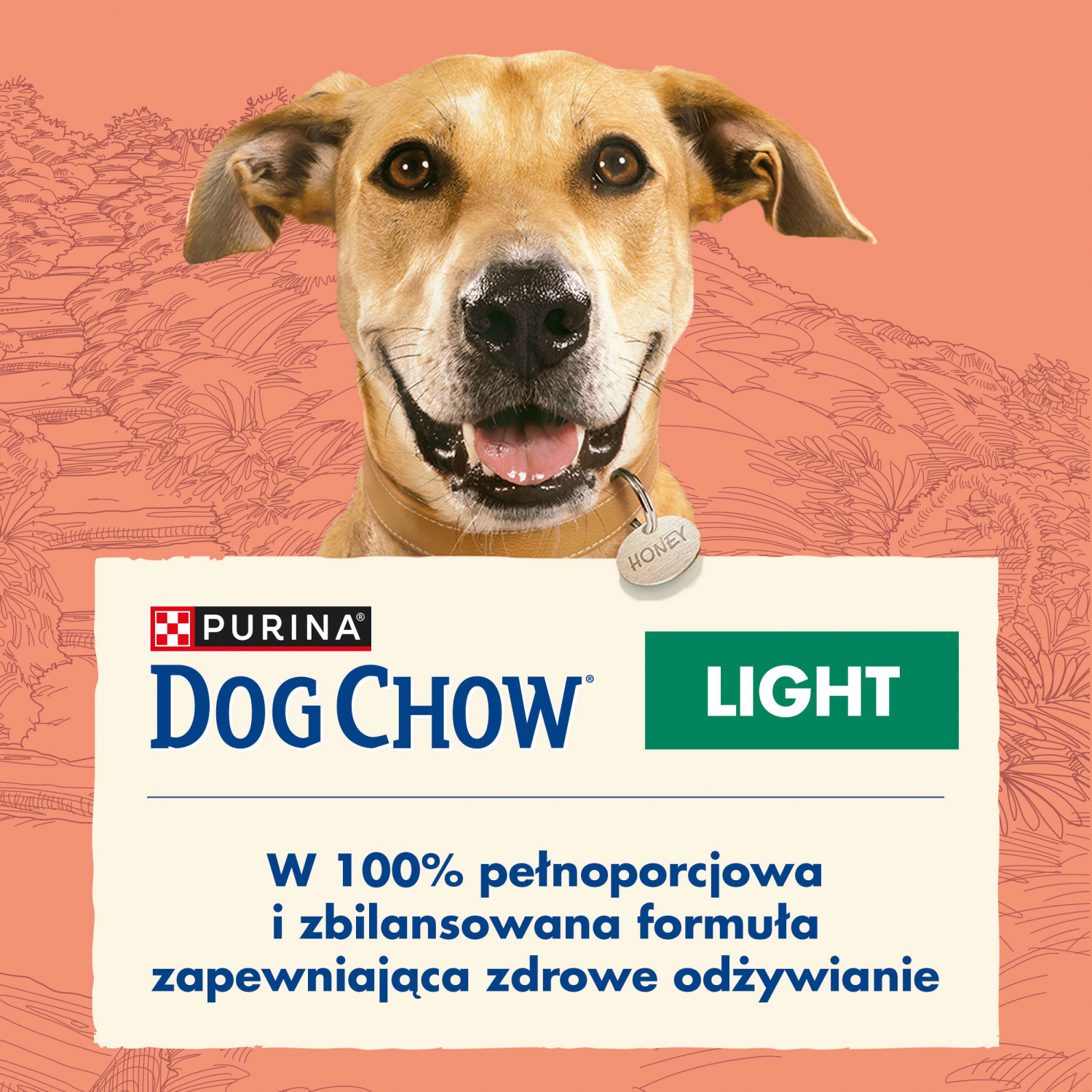 Purina Dog Chow Light Adult Z Indykiem 2,5kg - zdjęcie 2
