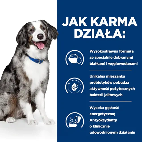 Hill's Prescription Diet i/d Sensitive Canine With Egg & Rice 1,5kg - zdjęcie 5