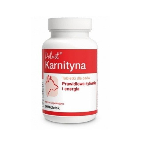 Dolfos Dolvit Karnityna 90 Tabletek - zdjęcie 3