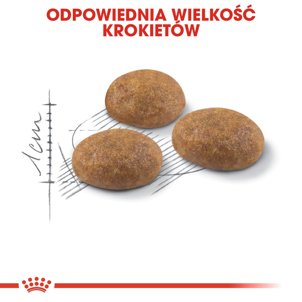 ROYAL CANIN Outdoor 400g - zdjęcie 7