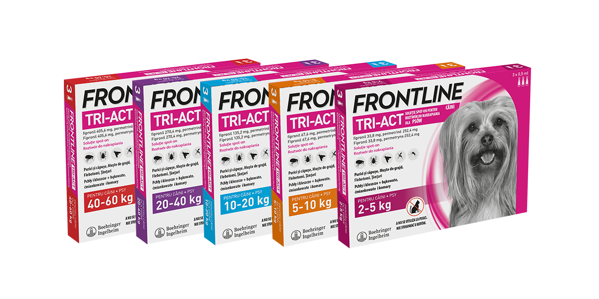 FRONTLINE Tri-Act Dla Psów 3x6ml - zdjęcie 4