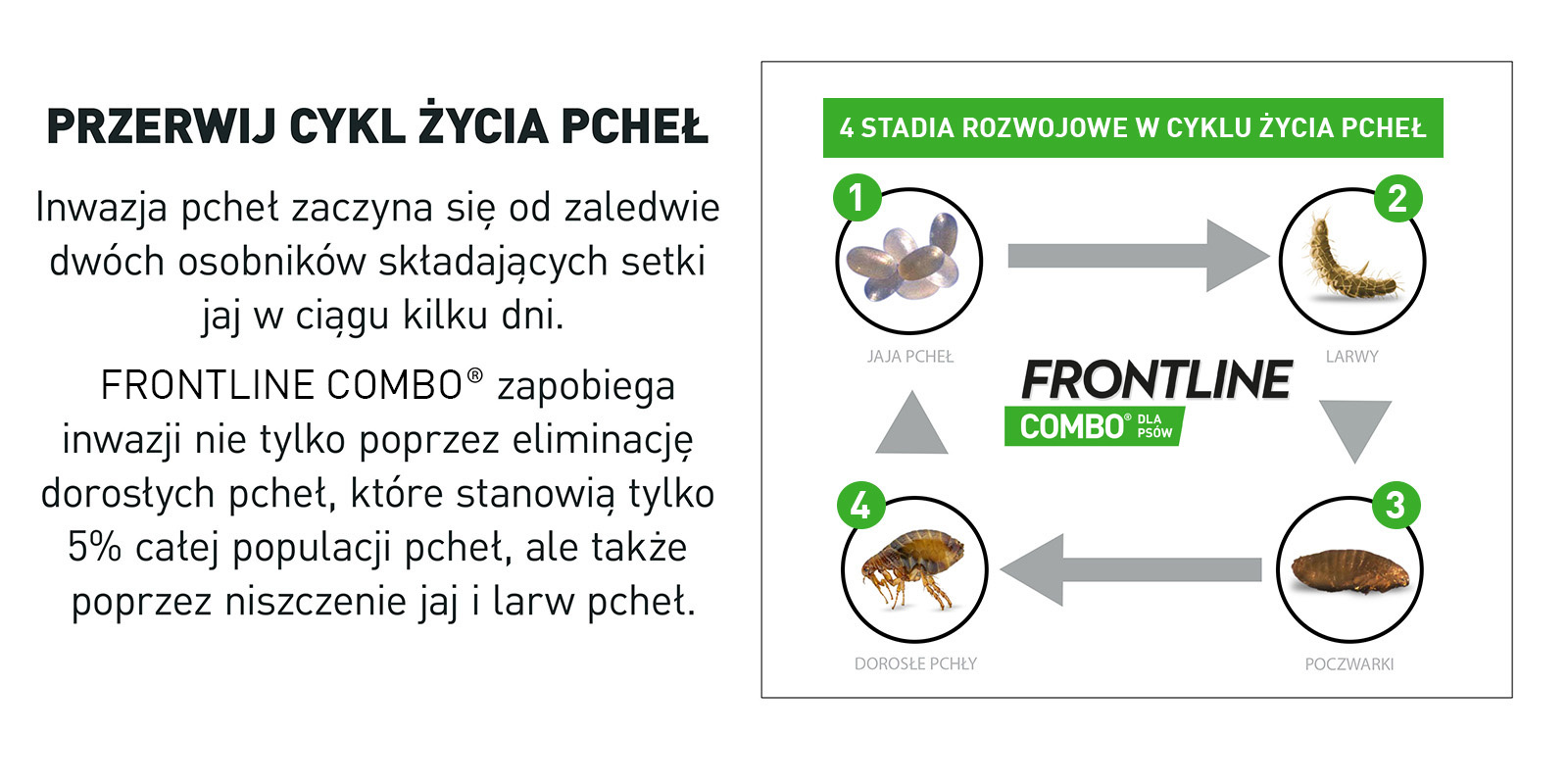 FRONTLINE Combo Spot-On Dla Psów 3x4,02ml - zdjęcie 8