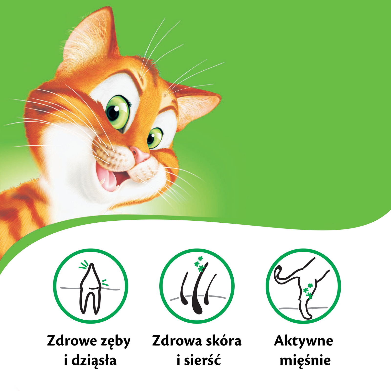 KITEKAT Sucha Karma Dla Kotów Z Kurczakiem I Warzywami 12kg - zdjęcie 5