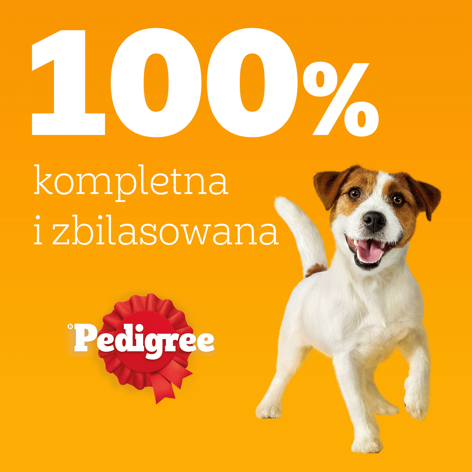 Pedigree Mokra Karma Dla Dorosłych Psów W Galaretce (Z Wołowiną, Z Drobiem) 4x100g - zdjęcie 10