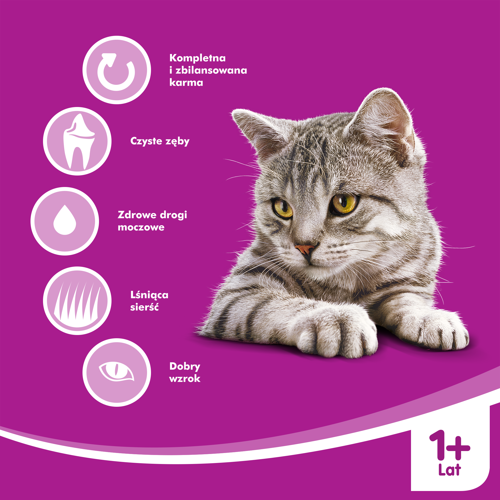 WHISKAS Karma Sucha Dla Kota 1+ Z Wołowiną 14kg - zdjęcie 4