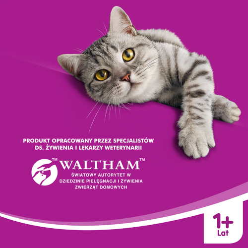WHISKAS Karma Sucha Dla Kota 1+ Z Wołowiną 14kg - zdjęcie 5