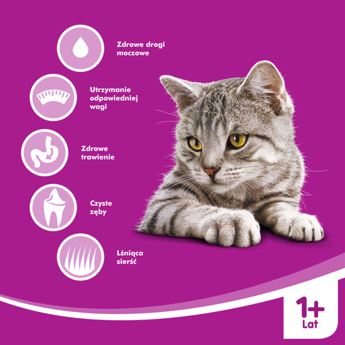 WHISKAS Karma Sucha Dla Kota Po Sterylizacji 1+ Sterile Z Kurczakiem 14kg - zdjęcie 4