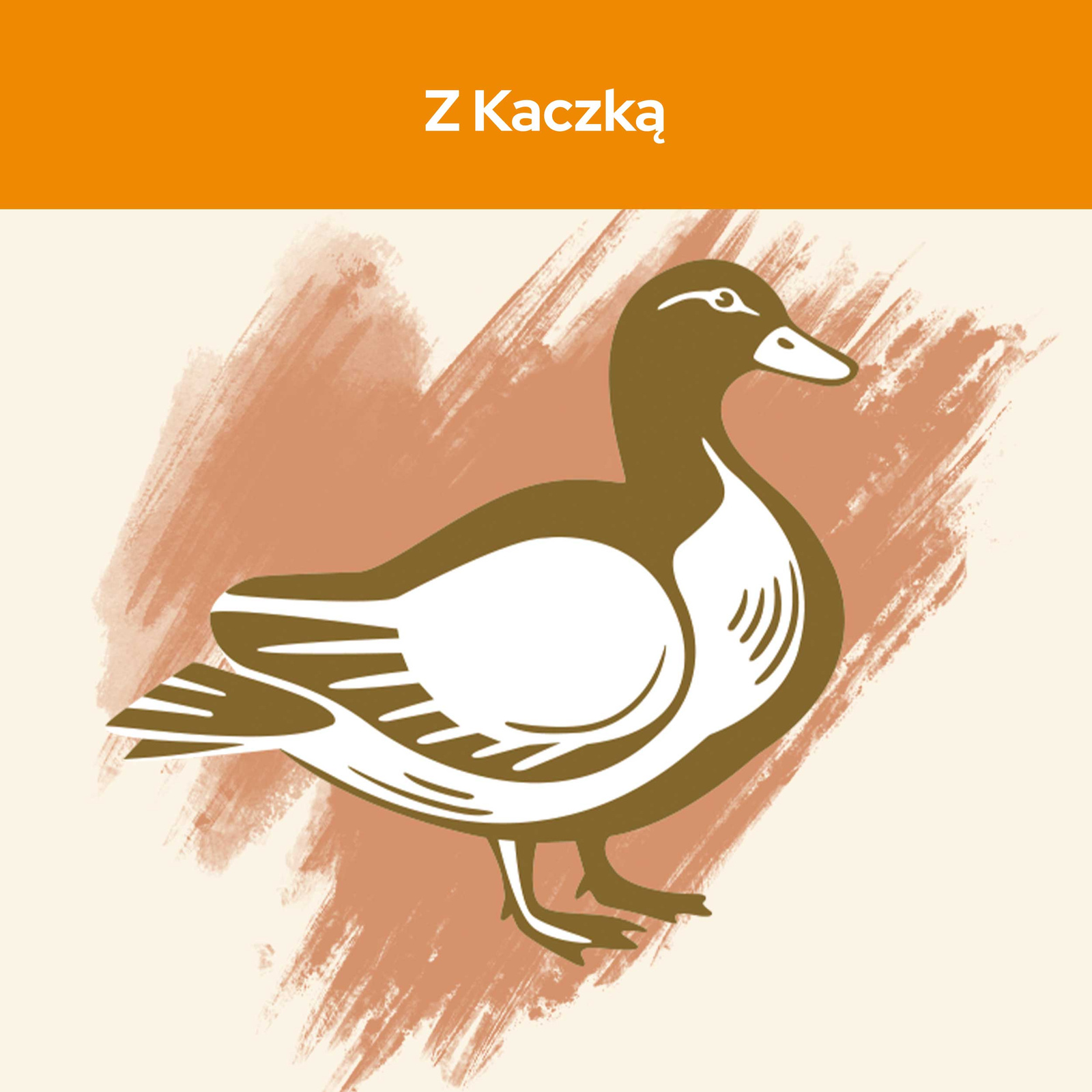 Purina Cat Chow Adult Duck 15kg - zdjęcie 3