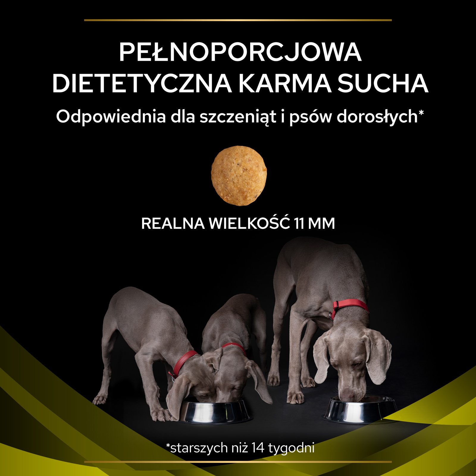 PURINA Pro Plan Veterinary Diets HP Hepatic 3kg - zdjęcie 5