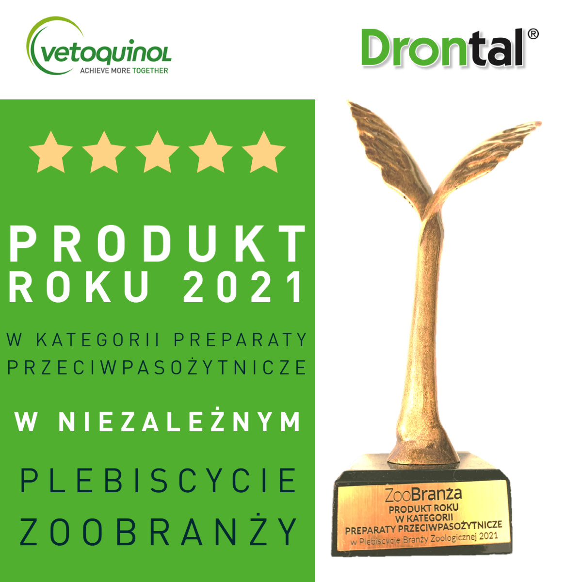 VETOQUINOL Drontal - Dog Flavour Tabletki Dla Psów 2tabl. (kostki) - zdjęcie 8