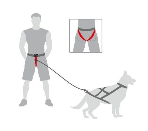 Dingo Pas Do Biegania Z Psem Obwód Do 120cm - zdjęcie 2