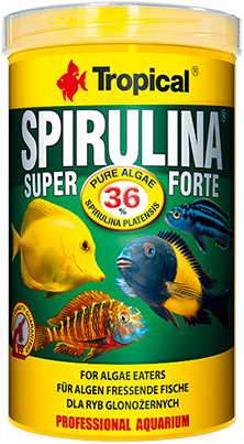 Tropical Super Spirulina Forte 250ml