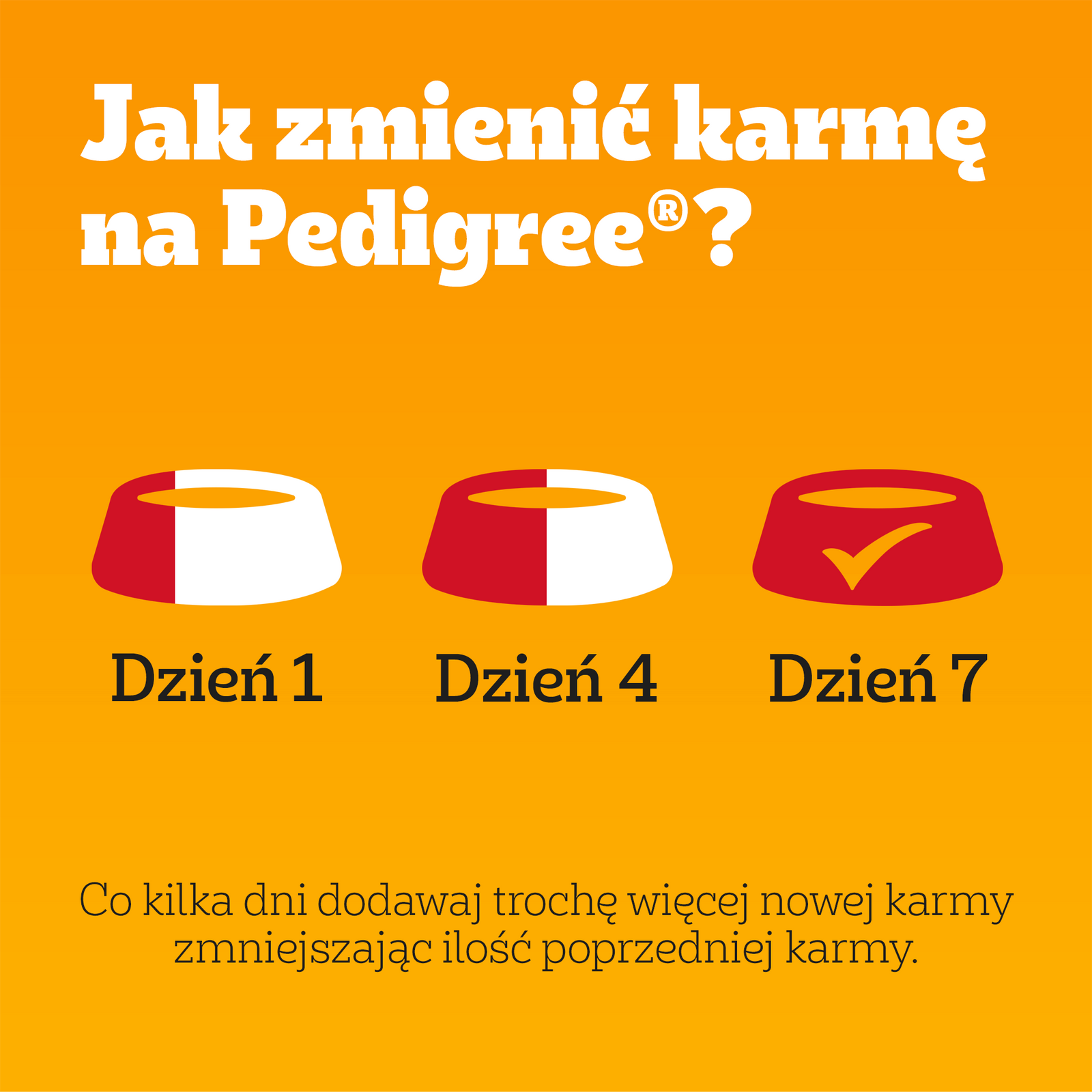 Pedigree Mokra Karma Dla Dorosłych Psów Z Kurczakiem I Warzywami W Sosie 100g - zdjęcie 8