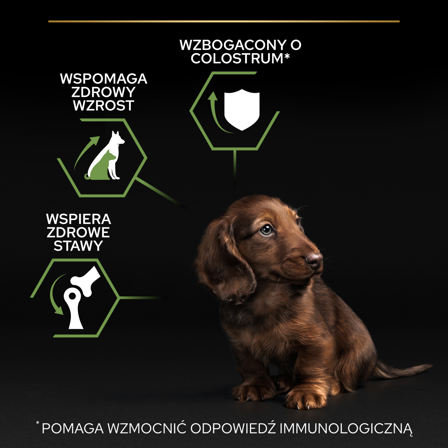 Purina Pro Plan Small & Mini Puppy Optistart Kurczak I Ryż 7kg - zdjęcie 5