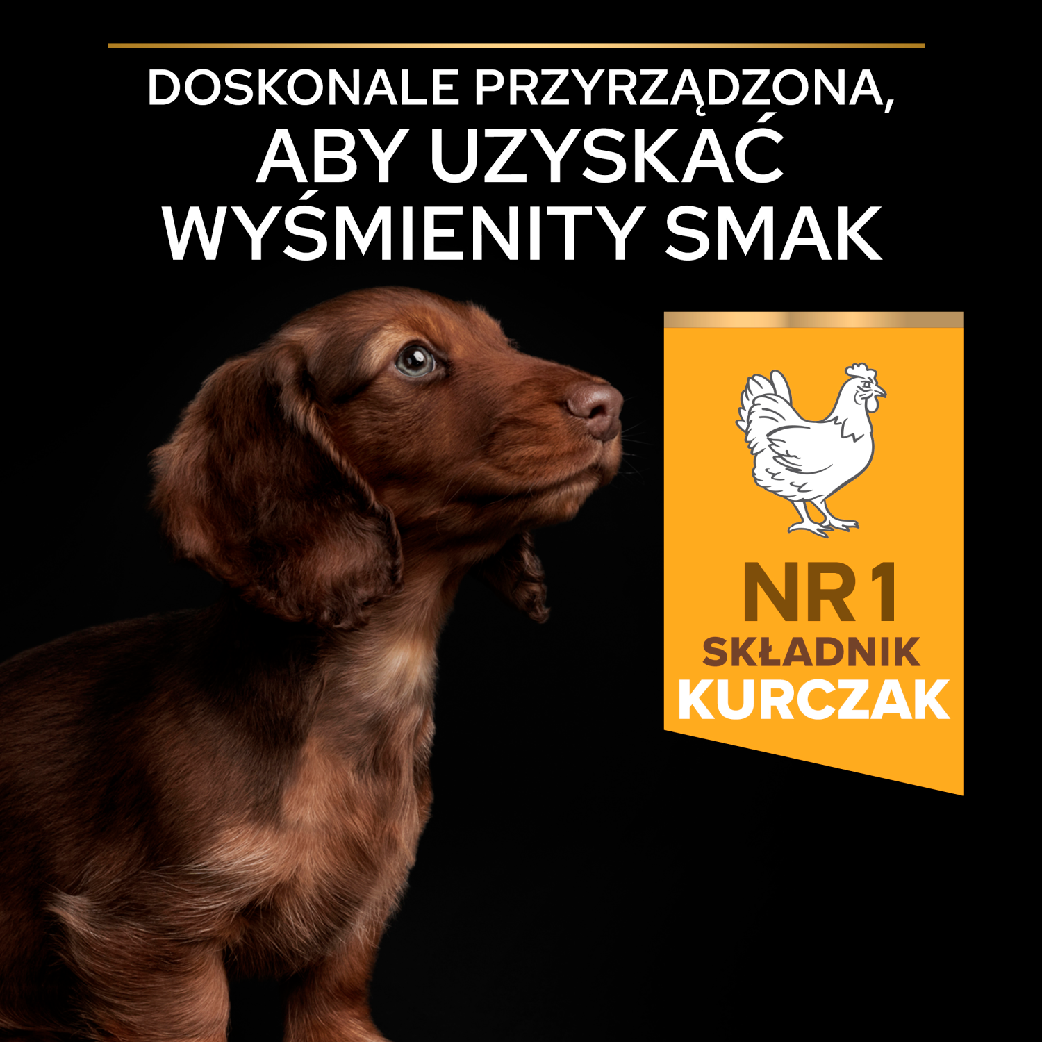 Purina Pro Plan Small & Mini Puppy Optistart Kurczak I Ryż 7kg - zdjęcie 7