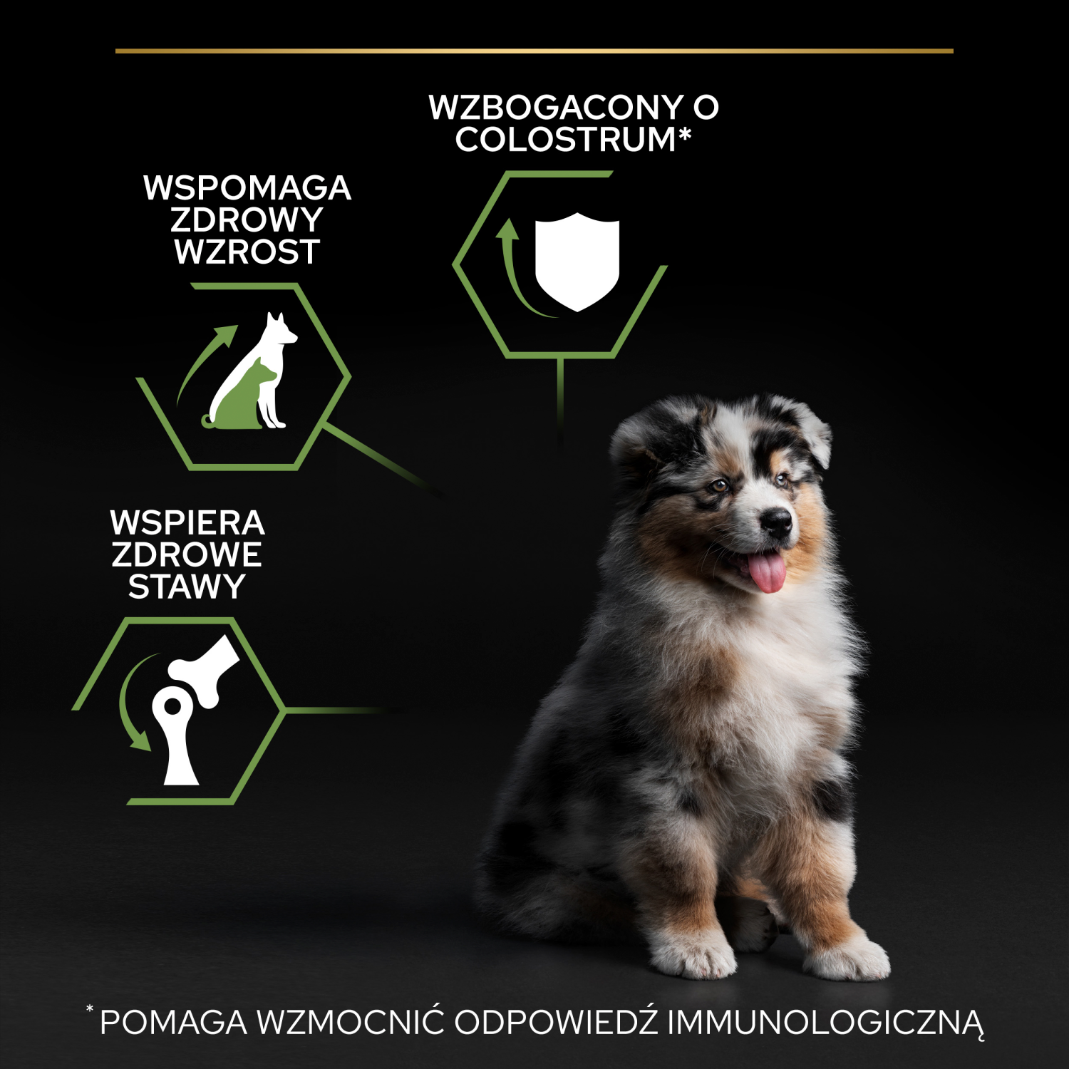Purina Pro Plan Medium Puppy Optistart Kurczak I Ryż 12kg - zdjęcie 4