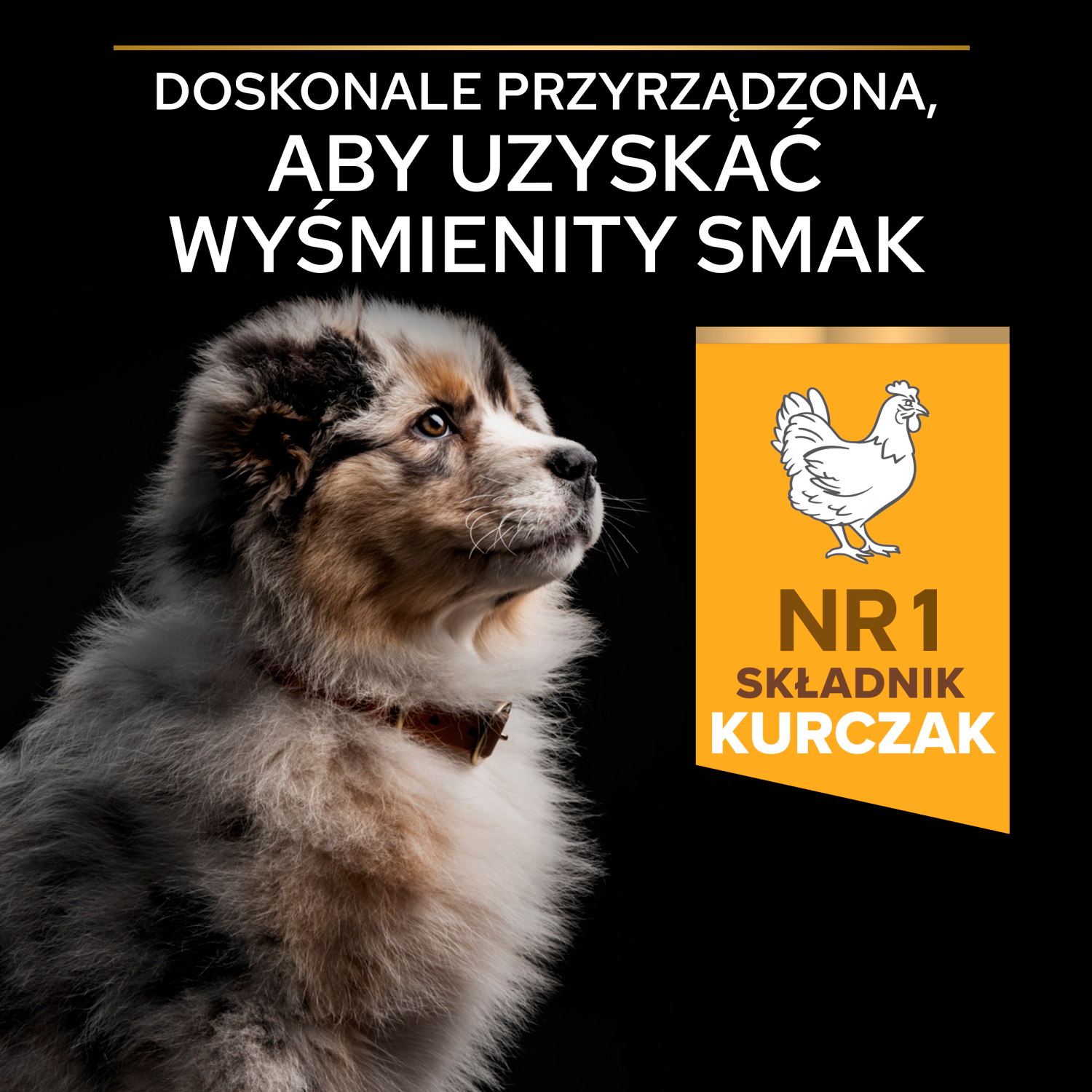 Purina Pro Plan Medium Puppy Optistart Kurczak I Ryż 12kg - zdjęcie 6