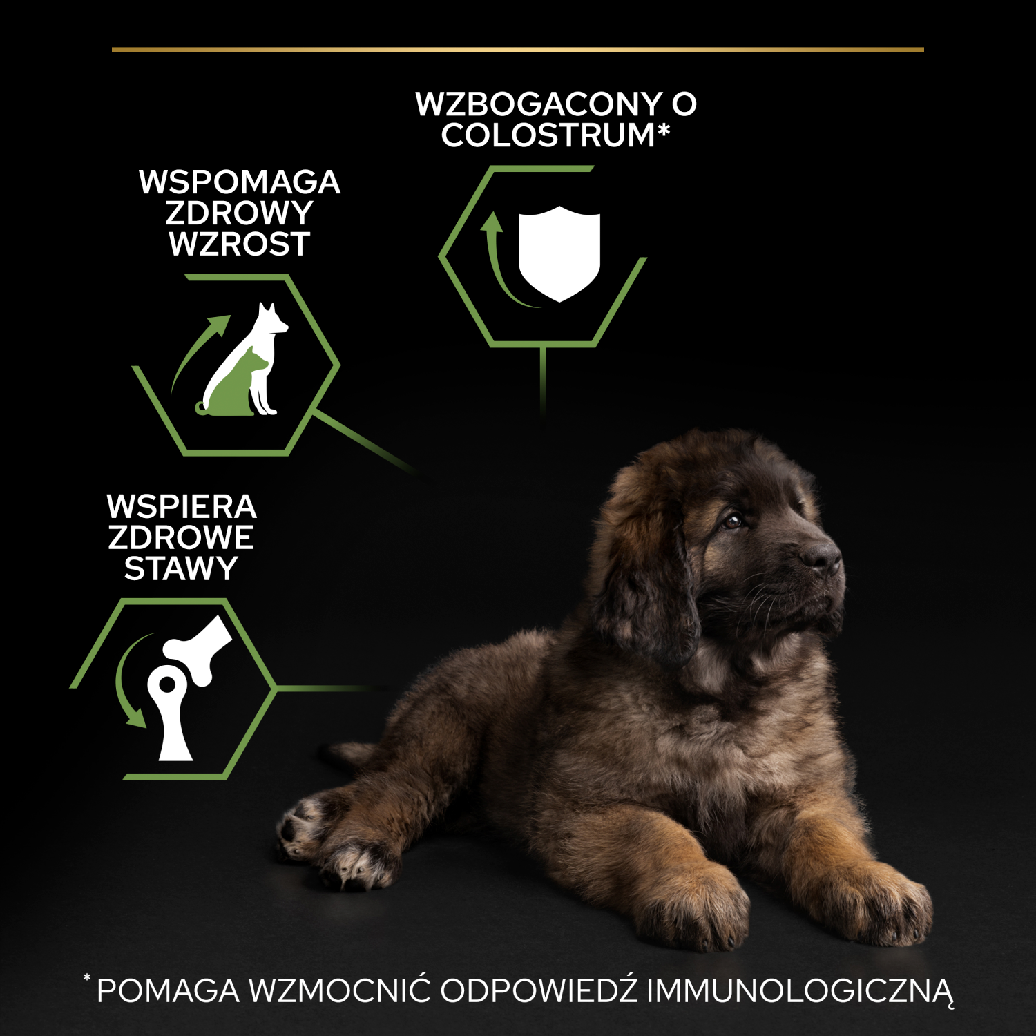 Purina Pro Plan Large Puppy Robust Optistart Kurczak I Ryż 12kg - zdjęcie 3