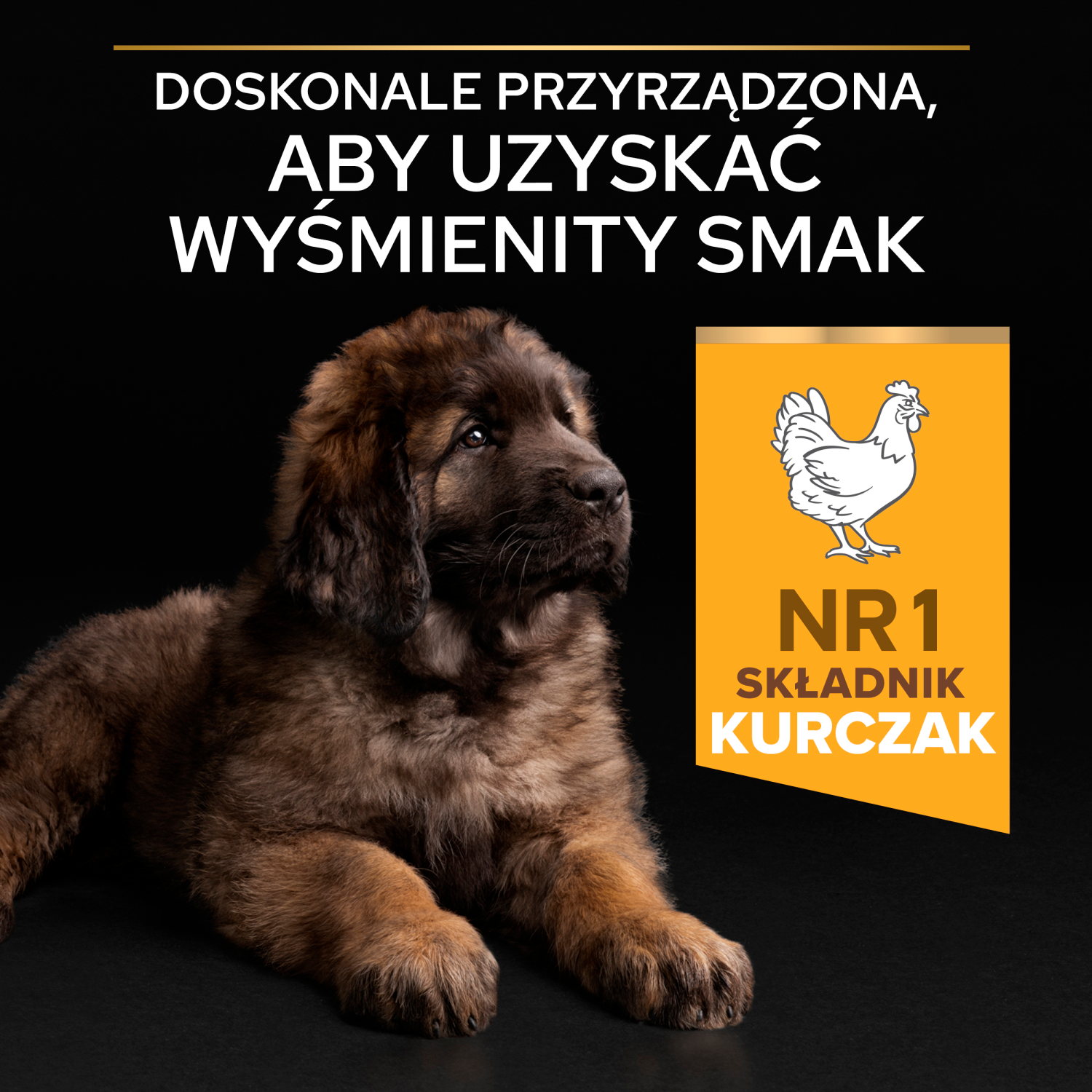 Purina Pro Plan Large Puppy Robust Optistart Kurczak I Ryż 12kg - zdjęcie 5